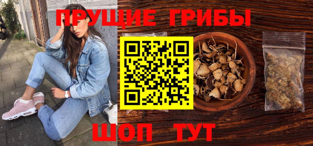 Псилоцибиновые грибы MAGIC MUSHROOMS  Вход с VPN  Нижнеудинск 